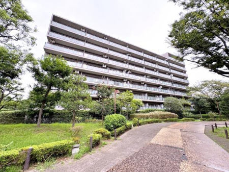 神奈川県横浜市保土ケ谷区仏向西の中古マンションの現地外観写真